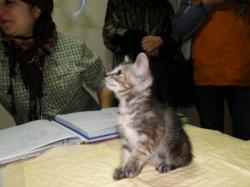 Кликните, чтобы увеличить фото