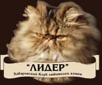 ЛИДЕР