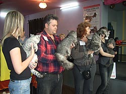 Лучший юниор - курильский бобтейл Барс (вл. Савельева В.А.), второй справа