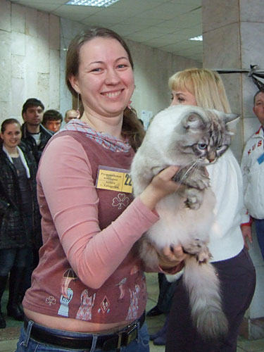 Шепард Сибирское Чудо, вл. Иванова А.В.